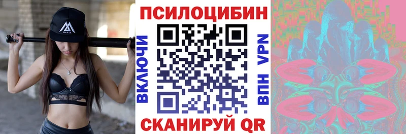blacksprut сайт  Бабушкин  Псилоцибиновые грибы Psilocybine cubensis  цены  